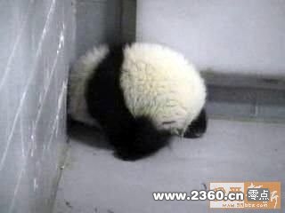 表理偶，偶烦着呢.jpg