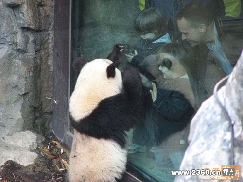 那口子，快来瞧诶，里面关着好多人诶.jpg