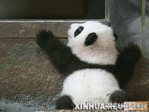 酱紫米被发现吧？.jpg
