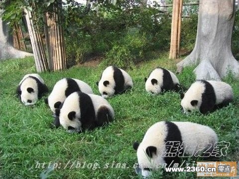 集体默哀三分钟.jpg