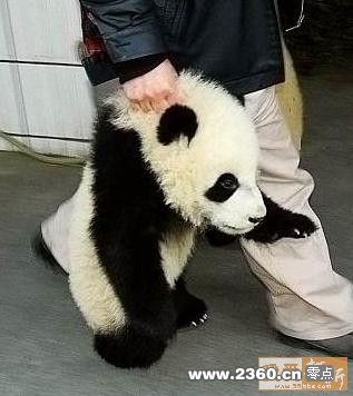 阿sir，我知道错了，再给偶次机会吧？.jpg