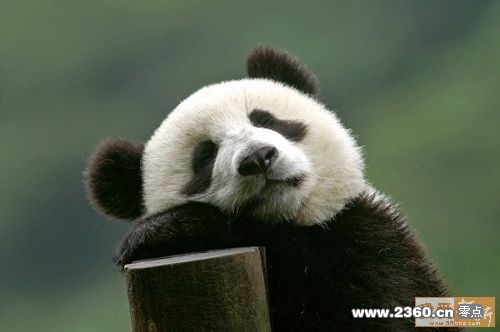 黑眼圈是不是小点了，最近睡眠老好了.jpg