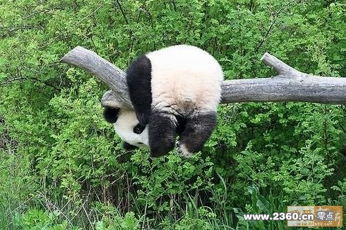 酱紫应该能凉干吧.jpg