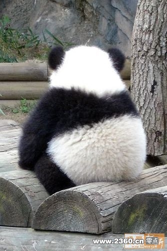 米看偶在发呆么，表理偶.jpg