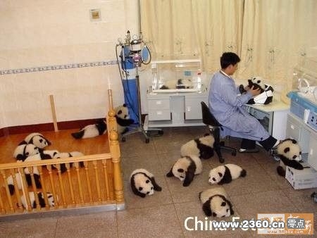 怪叔叔让偶们玩NP.jpg