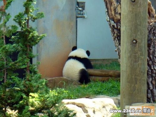 长江长江，熊猫一号就位待命，over!.jpg