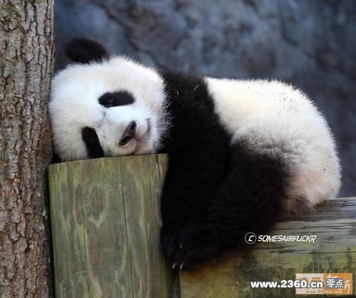 希望一会儿起来后，不会又是一脸字!.jpg