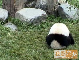 猜猜偶滴头在哪.jpg
