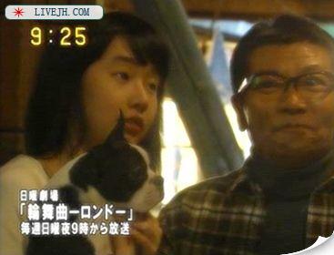 �ɰ��Ĺ���